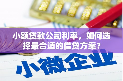 泗水小额贷款公司利率，如何选择最合适的借贷方案？