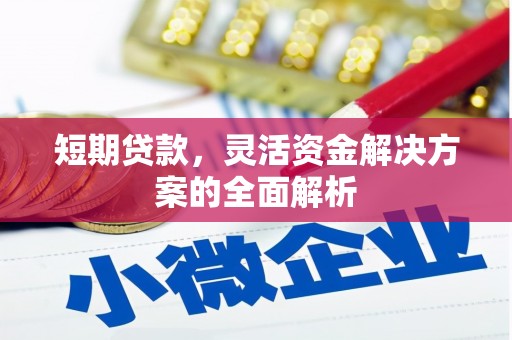 泗水短期贷款，灵活资金解决方案的全面解析