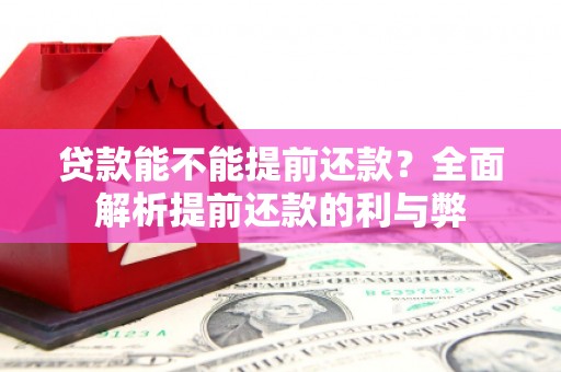 泗水贷款能不能提前还款？全面解析提前还款的利与弊