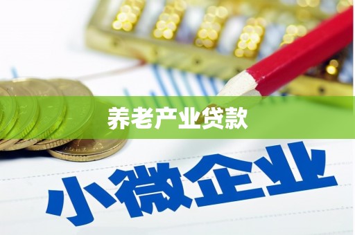 泗水养老产业贷款