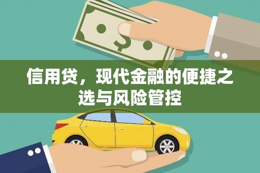 泗水信用贷，现代金融的便捷之选与风险管控