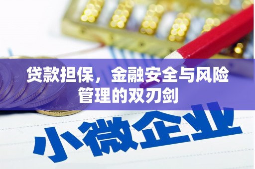泗水贷款担保，金融安全与风险管理的双刃剑