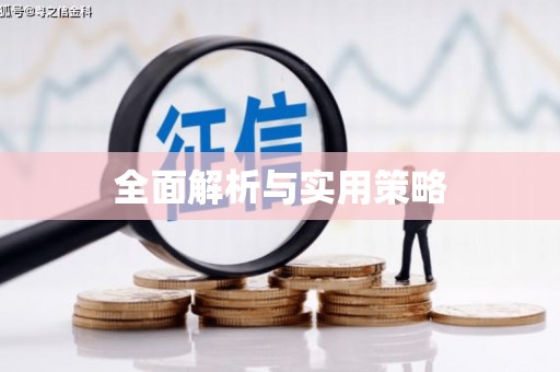 泗水全面解析与实用策略