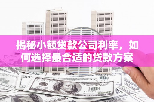 泗水揭秘小额贷款公司利率，如何选择最合适的贷款方案
