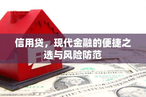 泗水信用贷，现代金融的便捷之选与风险防范