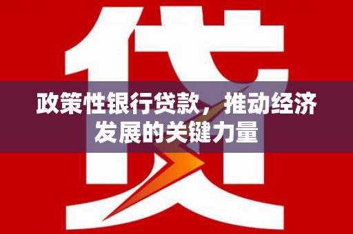 泗水政策性银行贷款，推动经济发展的关键力量