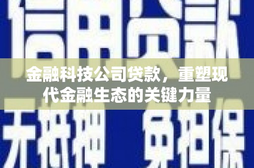 泗水金融科技公司贷款，重塑现代金融生态的关键力量