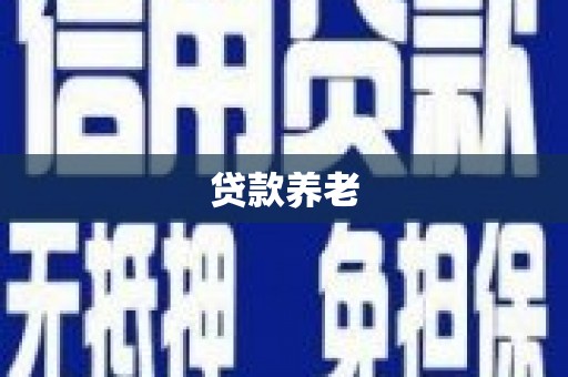 泗水贷款养老