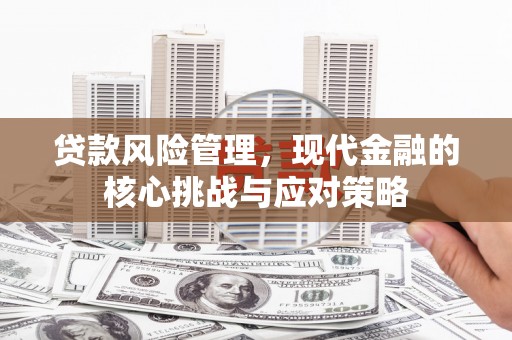 泗水贷款风险管理，现代金融的核心挑战与应对策略
