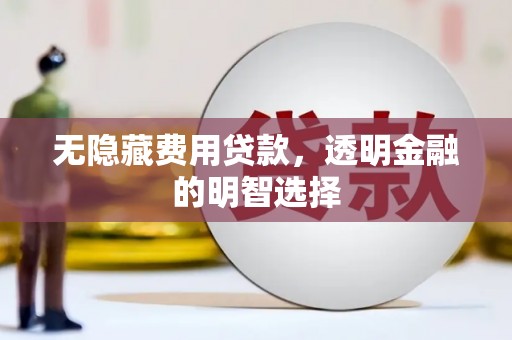 泗水无隐藏费用贷款，透明金融的明智选择