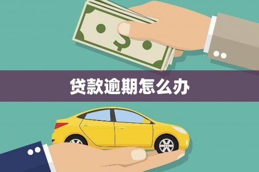 泗水贷款逾期怎么办