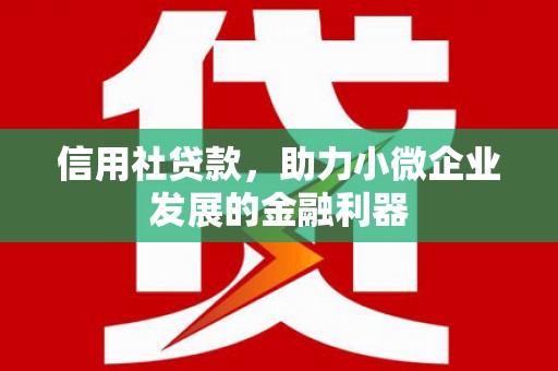 泗水信用社贷款，助力小微企业发展的金融利器