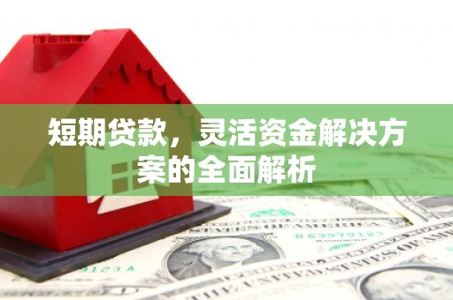 泗水短期贷款，灵活资金解决方案的全面解析