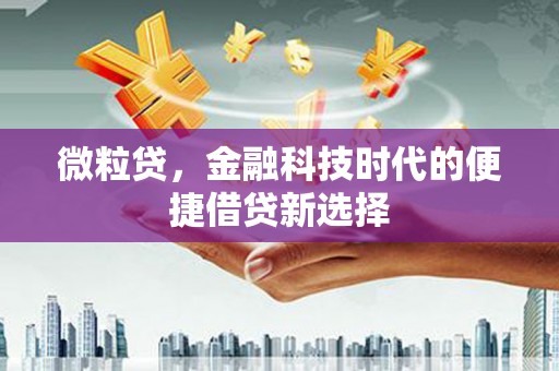 泗水微粒贷，金融科技时代的便捷借贷新选择