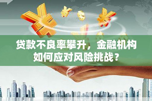 泗水贷款不良率攀升，金融机构如何应对风险挑战？