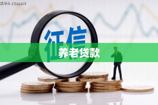 泗水养老贷款