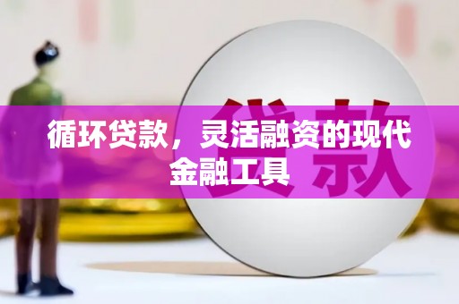 泗水循环贷款，灵活融资的现代金融工具