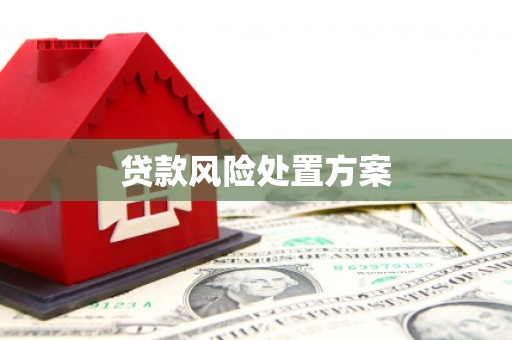 泗水贷款风险处置方案