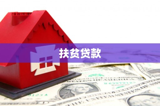 泗水扶贫贷款