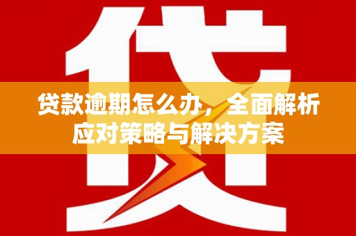 泗水贷款逾期怎么办，全面解析应对策略与解决方案