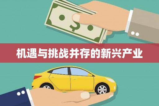 泗水机遇与挑战并存的新兴产业