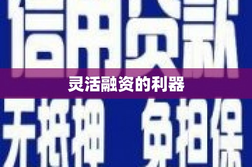 泗水灵活融资的利器