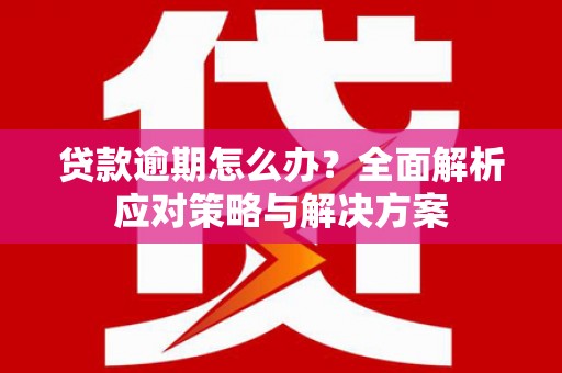 泗水贷款逾期怎么办？全面解析应对策略与解决方案