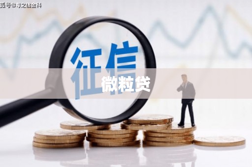 泗水微粒贷