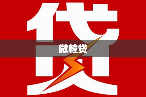 泗水微粒贷