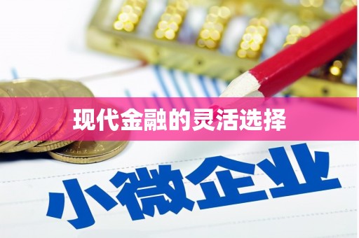 泗水现代金融的灵活选择