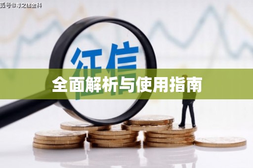 泗水全面解析与使用指南