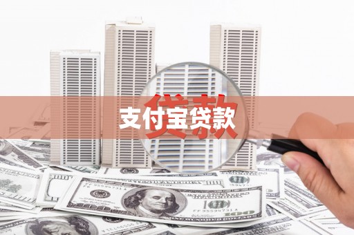 泗水支付宝贷款