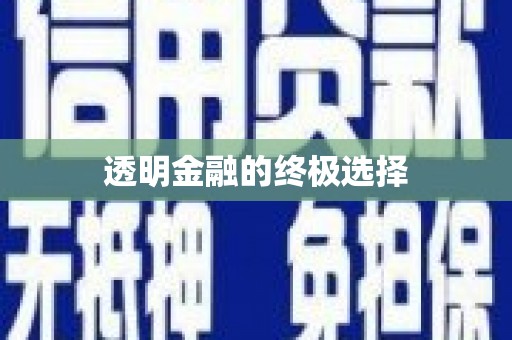 泗水透明金融的终极选择