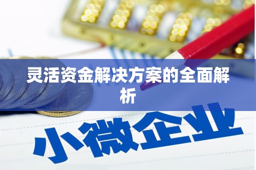 泗水灵活资金解决方案的全面解析